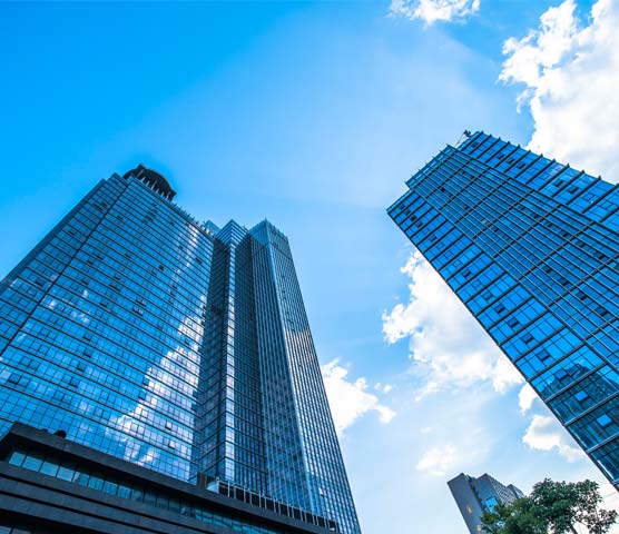 星耀国际全站专属采购通道登录与订单提交通道图片