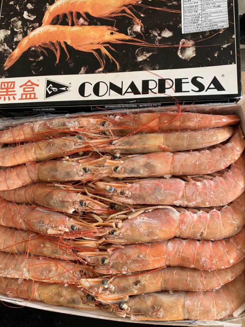 星耀国际高效云仓储物流监控系统APP应用快速下载